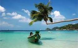 Koh Samui Koh Tao diving best thailand gulf thailand thailand diving best scuba school tutor dive coral reef fish photo adventure